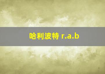 哈利波特 r.a.b